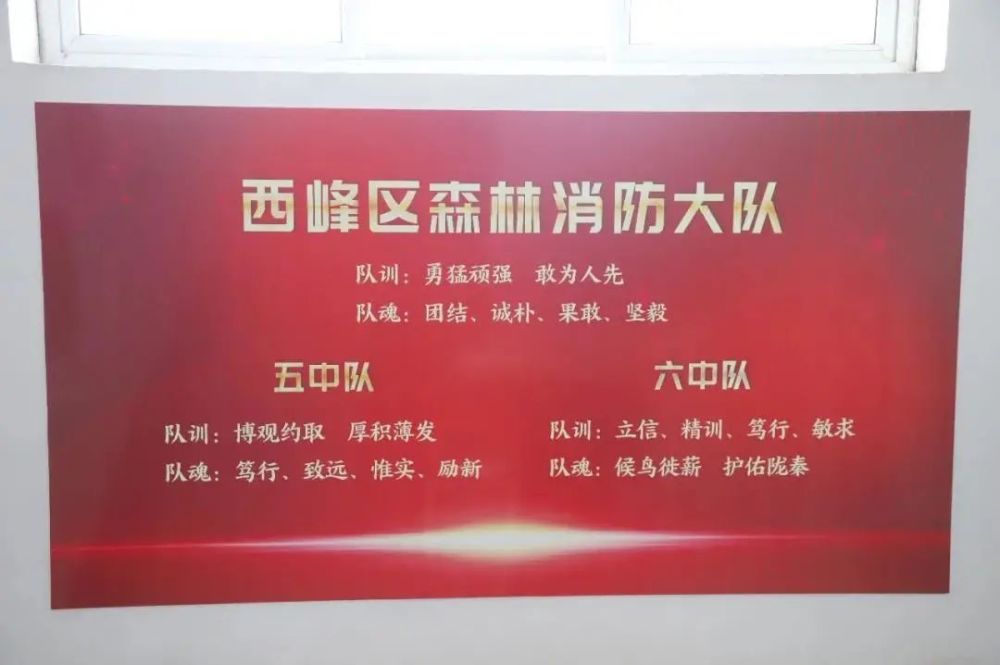 信息技术对身份认同的推动作用-九游官网